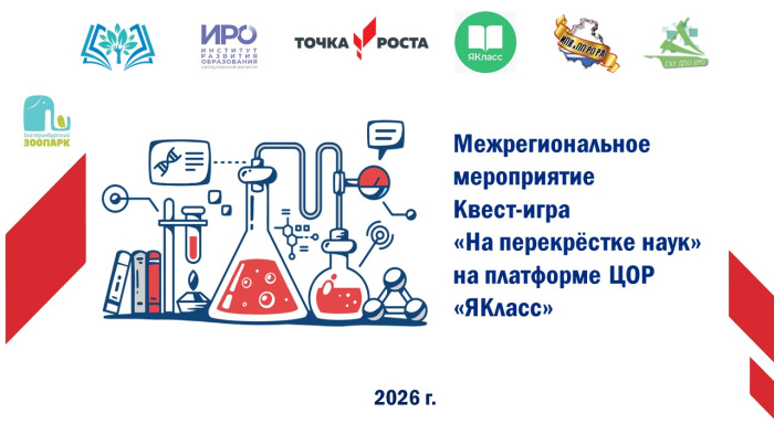За пятилетку число участников межрегиональной игры ИРО и его партнеров выросло в двадцать раз